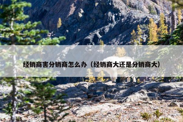 经销商害分销商怎么办（经销商大还是分销商大）