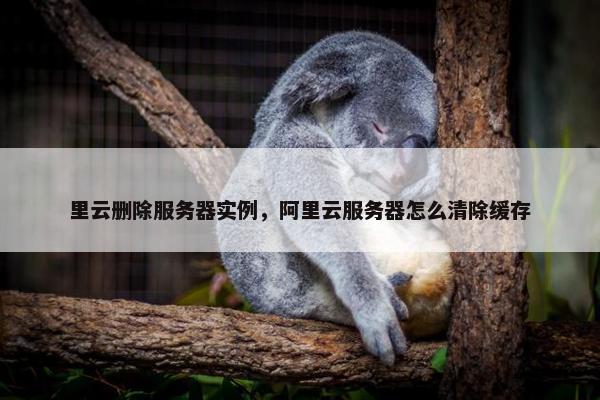 里云删除服务器实例，阿里云服务器怎么清除缓存
