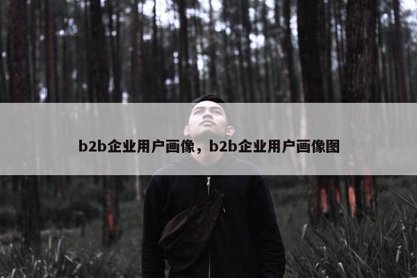 b2b企业用户画像，b2b企业用户画像图