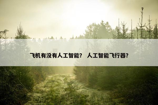 飞机有没有人工智能？ 人工智能飞行器？