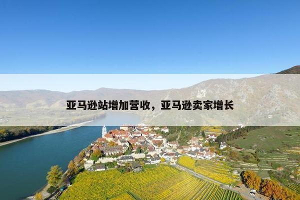 亚马逊站增加营收，亚马逊卖家增长