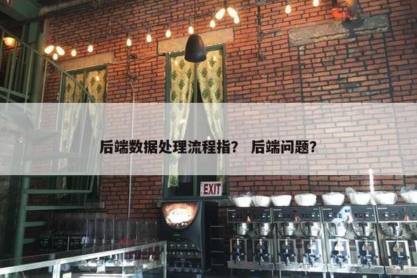 后端数据处理流程指？ 后端问题？