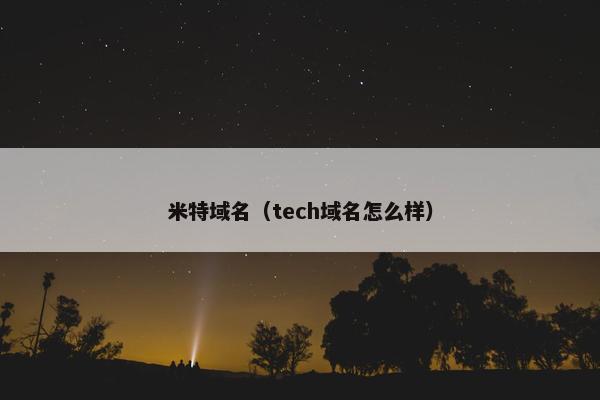 米特域名（tech域名怎么样）
