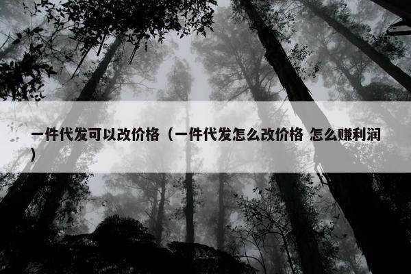一件代发可以改价格（一件代发怎么改价格 怎么赚利润）