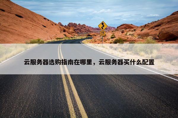 云服务器选购指南在哪里，云服务器买什么配置