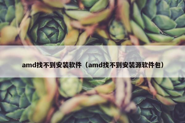 amd找不到安装软件（amd找不到安装源软件包）