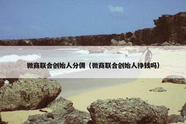 微商联合创始人分佣（微商联合创始人挣钱吗）