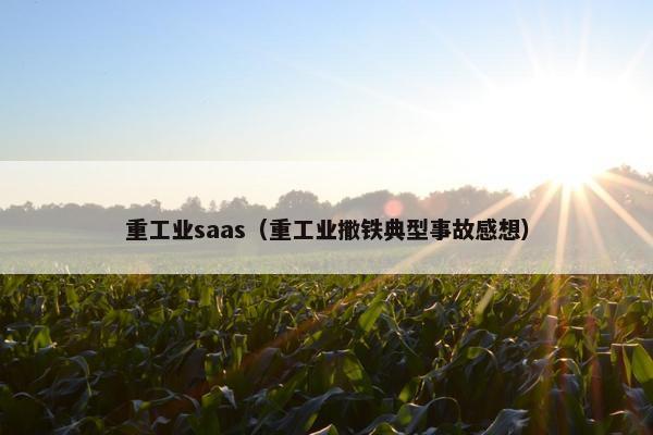 重工业saas（重工业撒铁典型事故感想）