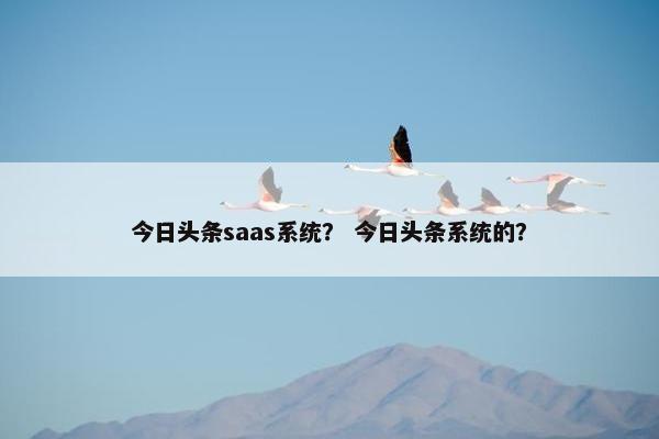 今日头条saas系统？ 今日头条系统的？