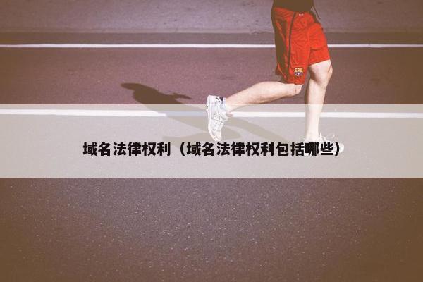 域名法律权利（域名法律权利包括哪些）