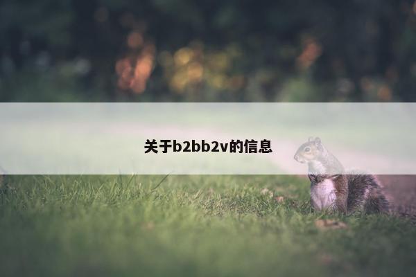 关于b2bb2v的信息