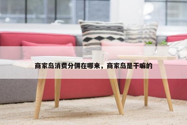 商家岛消费分佣在哪来，商家岛是干嘛的