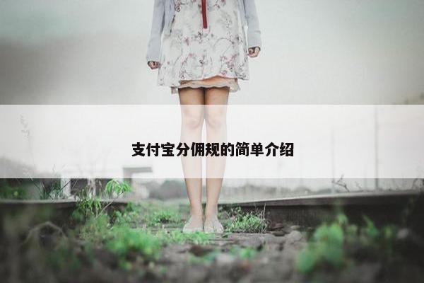 支付宝分佣规的简单介绍
