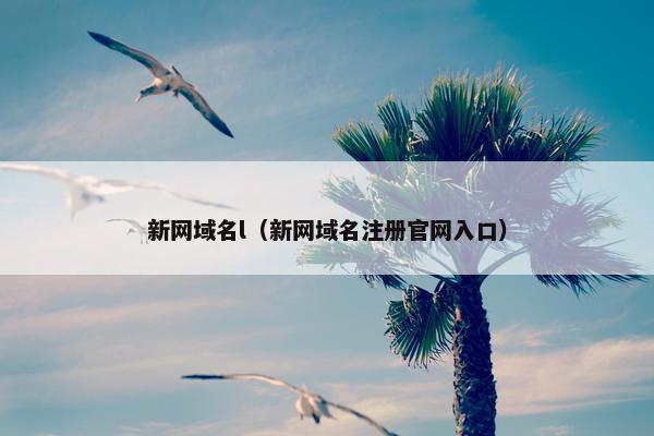 新网域名l（新网域名注册官网入口）