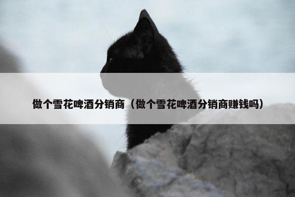 做个雪花啤酒分销商（做个雪花啤酒分销商赚钱吗）