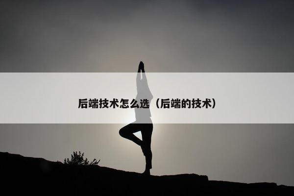 后端技术怎么选（后端的技术）