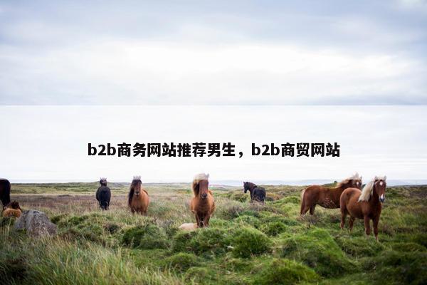 b2b商务网站推荐男生，b2b商贸网站