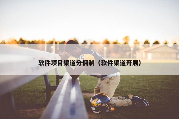 软件项目渠道分佣制（软件渠道开展）