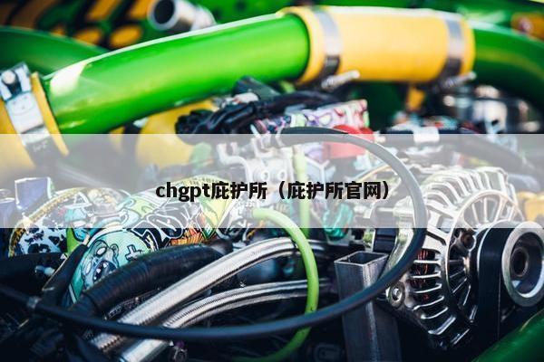 chgpt庇护所（庇护所官网）
