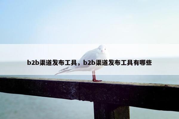 b2b渠道发布工具，b2b渠道发布工具有哪些