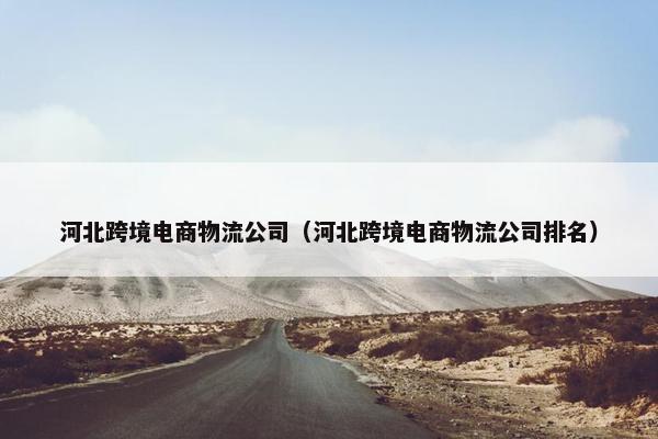 河北跨境电商物流公司（河北跨境电商物流公司排名）