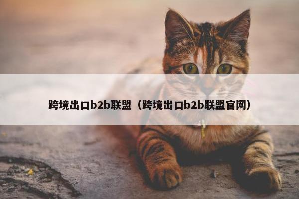 跨境出口b2b联盟（跨境出口b2b联盟官网）