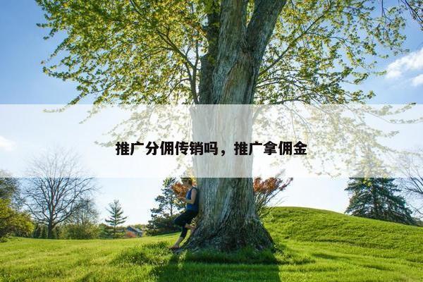 推广分佣传销吗，推广拿佣金