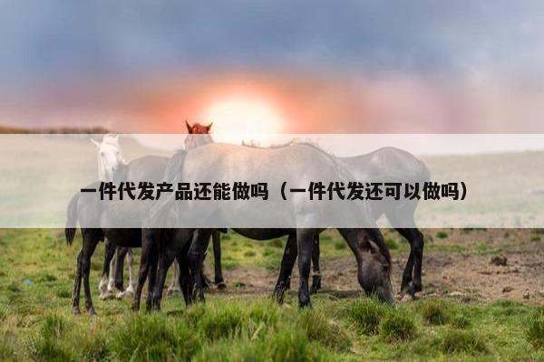 一件代发产品还能做吗（一件代发还可以做吗）