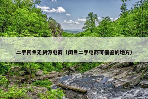 二手闲鱼无货源电商（闲鱼二手电商可借鉴的地方）