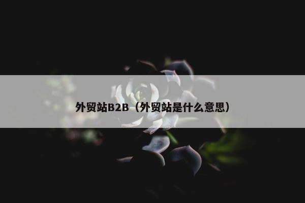 外贸站B2B（外贸站是什么意思）