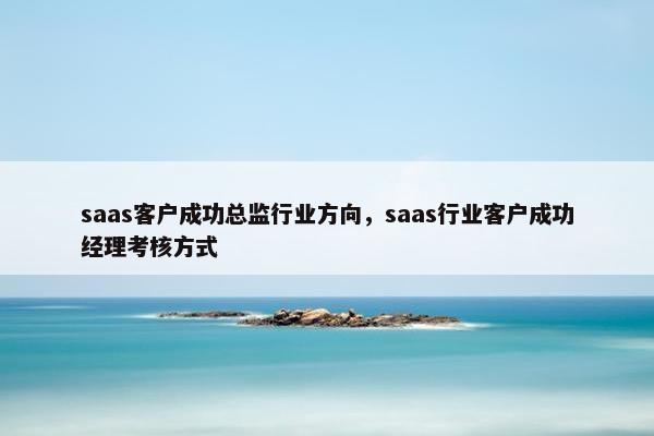 saas客户成功总监行业方向，saas行业客户成功经理考核方式