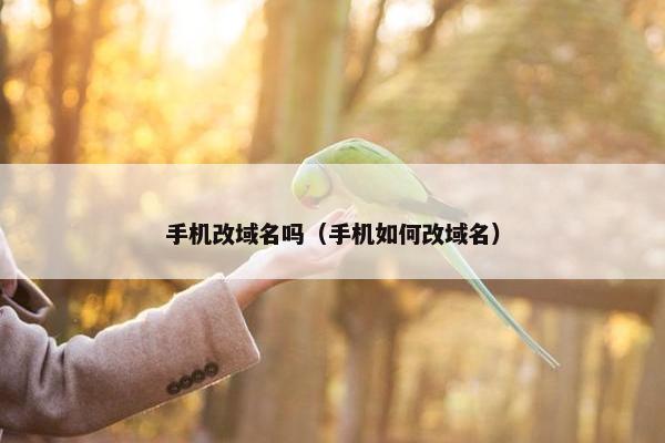 手机改域名吗（手机如何改域名）