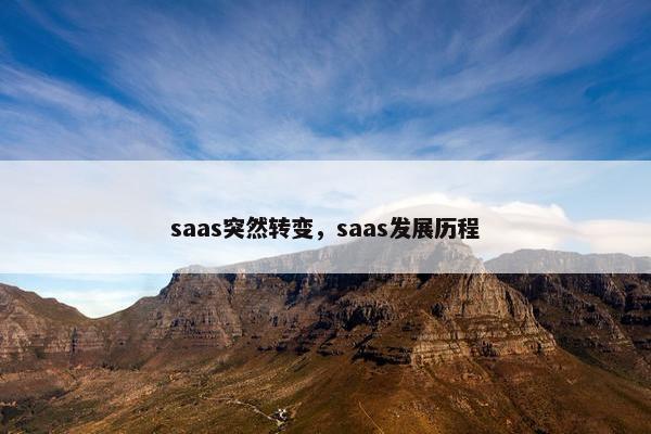 saas突然转变，saas发展历程