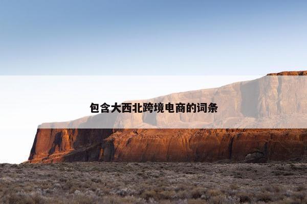包含大西北跨境电商的词条