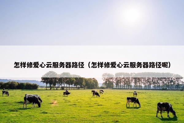怎样修爱心云服务器路径（怎样修爱心云服务器路径呢）
