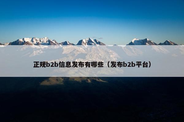 正规b2b信息发布有哪些（发布b2b平台）