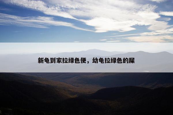 新龟到家拉绿色便，幼龟拉绿色的屎