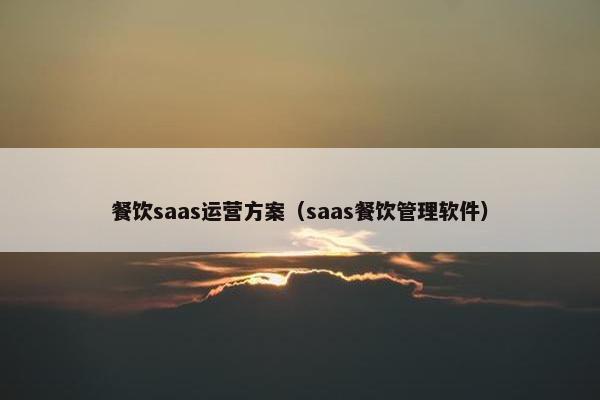 餐饮saas运营方案（saas餐饮管理软件）