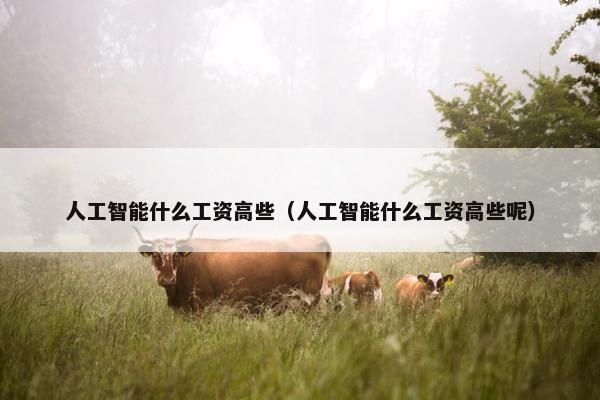人工智能什么工资高些（人工智能什么工资高些呢）