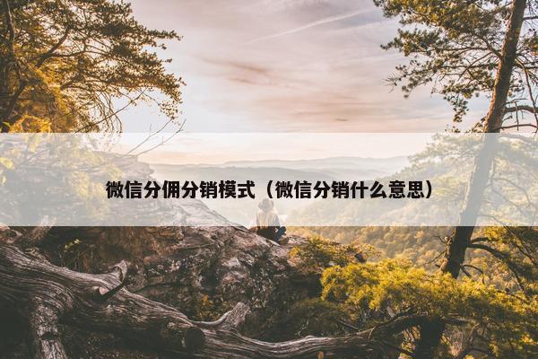 微信分佣分销模式（微信分销什么意思）