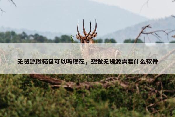 无货源做箱包可以吗现在，想做无货源需要什么软件