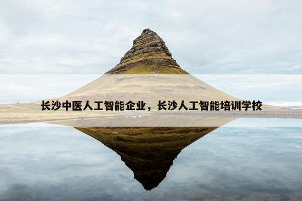 长沙中医人工智能企业，长沙人工智能培训学校