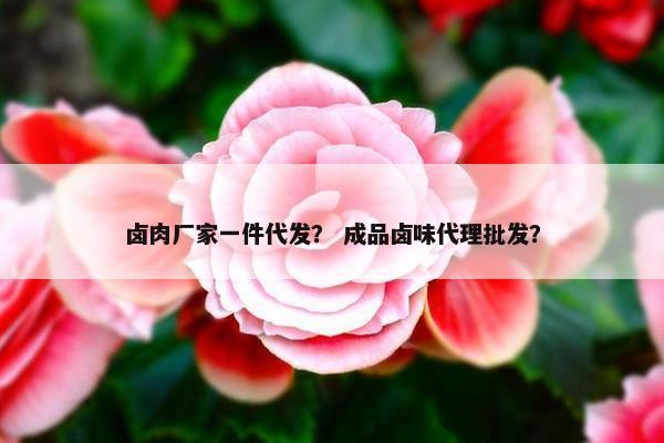 卤肉厂家一件代发？ 成品卤味代理批发？