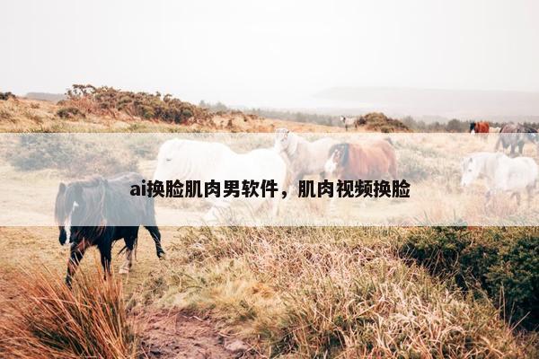 ai换脸肌肉男软件，肌肉视频换脸