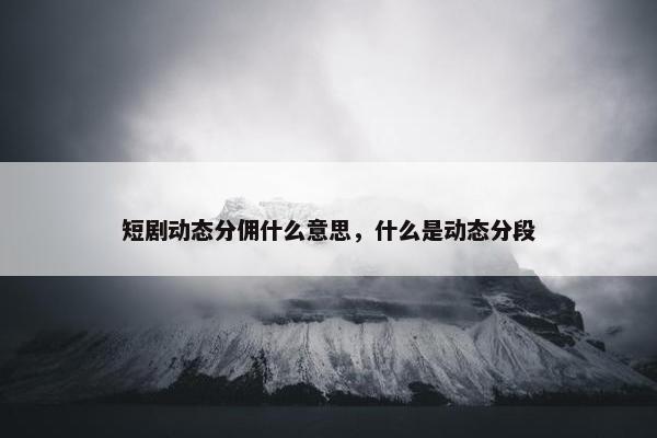 短剧动态分佣什么意思，什么是动态分段