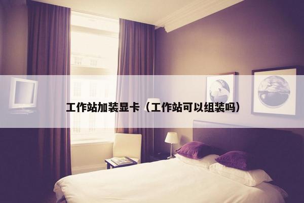 工作站加装显卡（工作站可以组装吗）