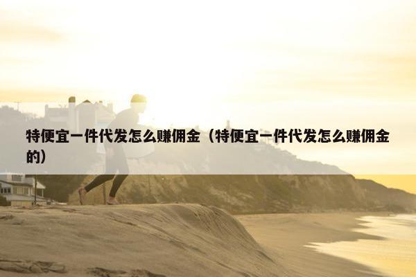 特便宜一件代发怎么赚佣金（特便宜一件代发怎么赚佣金的）