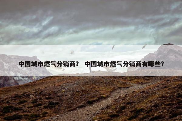 中国城市燃气分销商？ 中国城市燃气分销商有哪些？
