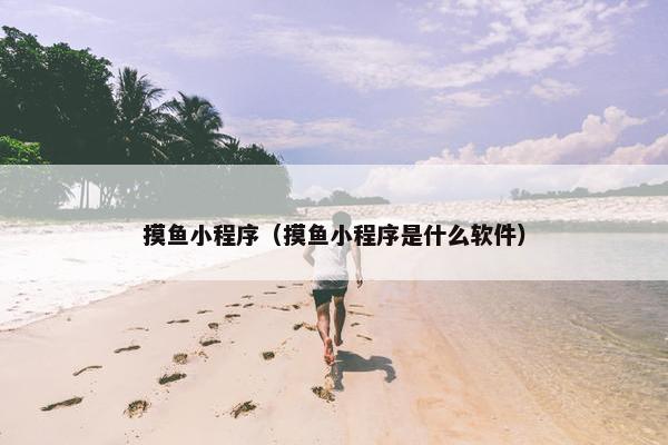 摸鱼小程序（摸鱼小程序是什么软件）