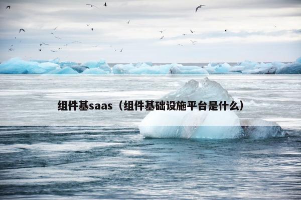 组件基saas（组件基础设施平台是什么）